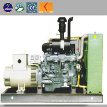 Ce approuvé Lvhuan Power Grand Power Generator de gaz de biomasse